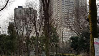 大都会のオアシス