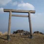 福寿草を探して入道ヶ岳