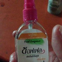 全テーブル備え付け虫よけスプレー。でも蚊はやってくる。