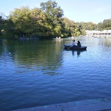 池にはボートに乗って遊ぶ風景が見られました。