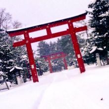北海道護国神社の立派な鳥居
