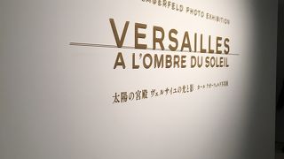 ギャラリーがあります