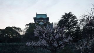 ３月は梅と桃、４月は桜と季節が楽しめるスポット