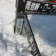 山頂は眺望ナシ