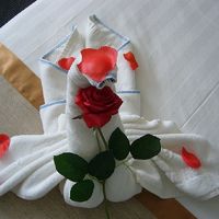 ベットの上に可愛い