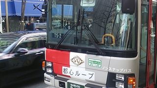 2017年２月14日～2018年２月13日頃までの１年間限定で「ハートバス」というバスが運行中です