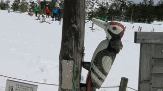 夏は奇観でも冬は雪原