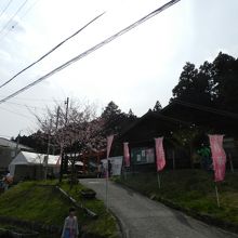 桜華園の入口