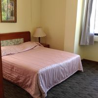 見た通りです。