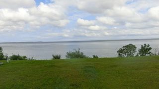 黒光りした黄褐色のいい湯です