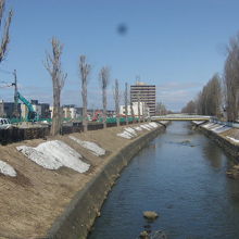 (右)剪定前、(左)剪定後、といった感じでしょうか（笑）