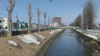 豪快に選定されていて驚きました