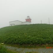 車石のある海岸に建つ赤と白の灯台