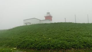 車石のある海岸に建つ赤と白の灯台