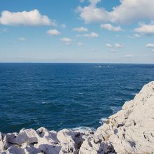 展望台からの景色が絶景
