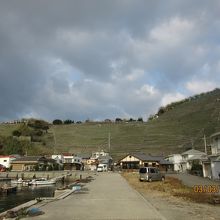 港から段畑を臨む　　