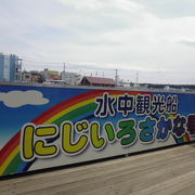 三崎港の観光船