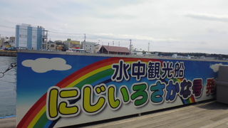 三崎港の観光船