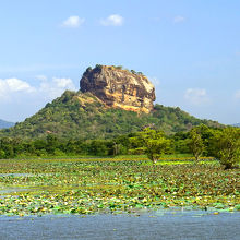 ジャングルの中のシギリヤロック