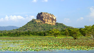 入口で声をかける私設ガイドとミツバチに注意