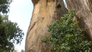 その先に、コブラ使いが待っています