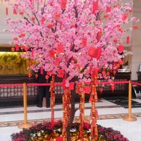 春節前だったのでロビーに飾りがありました