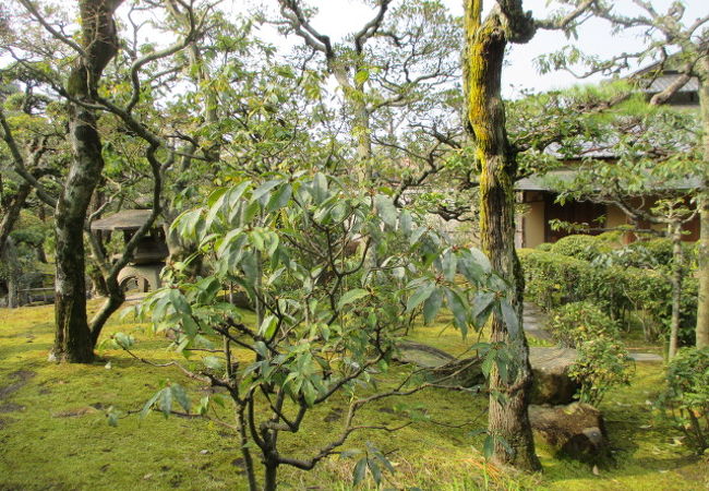 すごい豪邸です