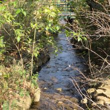 小川が流れています