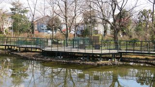 草花を見ることができます