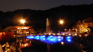 秋のライトアップ