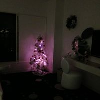 小さいですがクリスマスツリーがありました