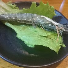 クルマエビも 鍋に