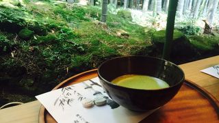 竹林を眺めながら、抹茶でゆったり