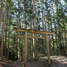 木製の鳥居が立っています