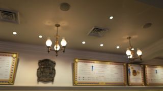 ダッフィーのショーを見ることもできる