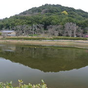 池に映る美しい姿