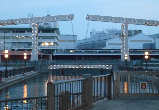神戸ハーバーランド はねっこ広場 クチコミ アクセス 営業時間 神戸 フォートラベル 神戸ハーバーランド はねっこ広場 クチコミ アクセス 営業時間 神戸 フォートラベル
