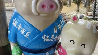 美肌の湯らしく、ぬるっとしています