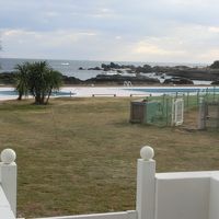 バルコニーテラスから、プールと右ドッグラン