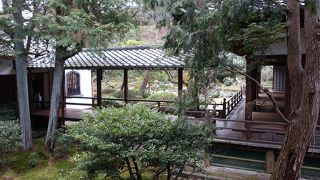 庭を見ながら休憩するのも気持ち良いです