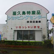 大きなお土産屋さん