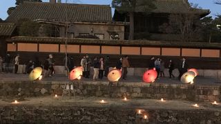 春のライトアップ