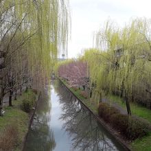 京橋からの水路の景色