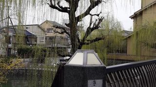 柳が立ち並ぶ景色がきれい