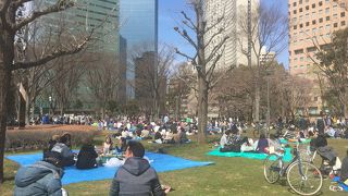 都心の花見場所