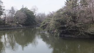 瓢箪の様な形の池をした公園です。