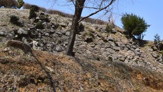 秀吉による東国初の近世城郭