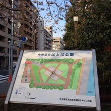 築地隅田川沿いのはとば公園の桜 見頃です By Swal はとば公園のクチコミ フォートラベル 築地隅田川沿いのはとば公園の桜 見頃です By Swal はとば公園のクチコミ フォートラベル