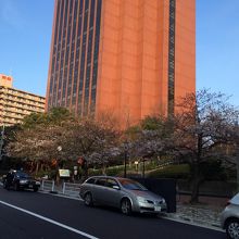 築地隅田川沿いのはとば公園の桜 見頃です By Swal はとば公園のクチコミ フォートラベル 築地隅田川沿いのはとば公園の桜 見頃です By Swal はとば公園のクチコミ フォートラベル