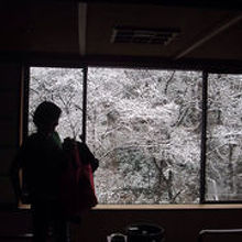 窓からの雪景色